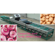 Máquina clasificadora automática de frutas, Máquina clasificadora de cebollas